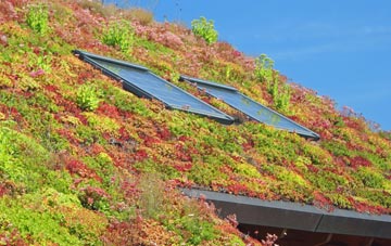 Bishopswood living roof systems
