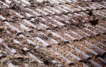 Bishopswood roof cleaning companies