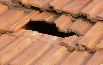 roof repair Bishopswood, Somerset